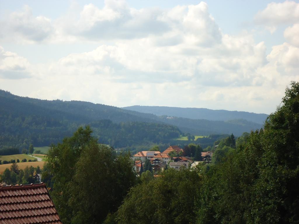 Ferienwohnung Bodenmais Am Silberberg Extérieur photo